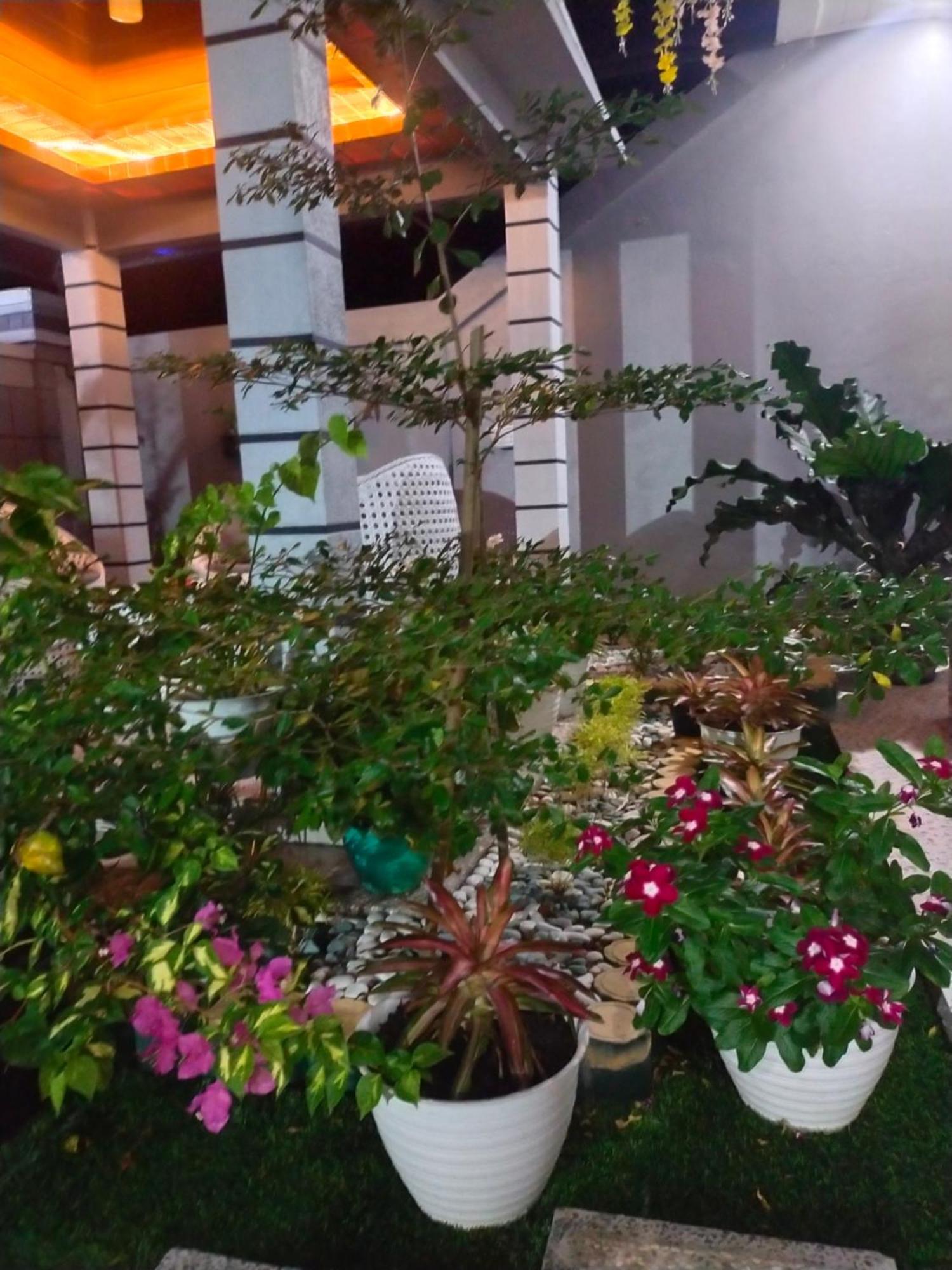 Homestay La Geiro *